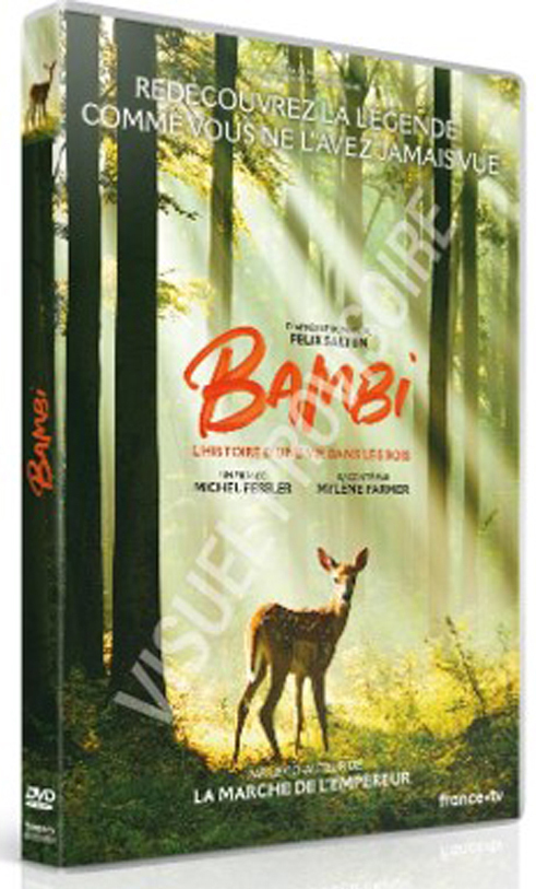 BAMBI, L_HISTOIRE D_UNE VIE DANS LES BOIS - DVD