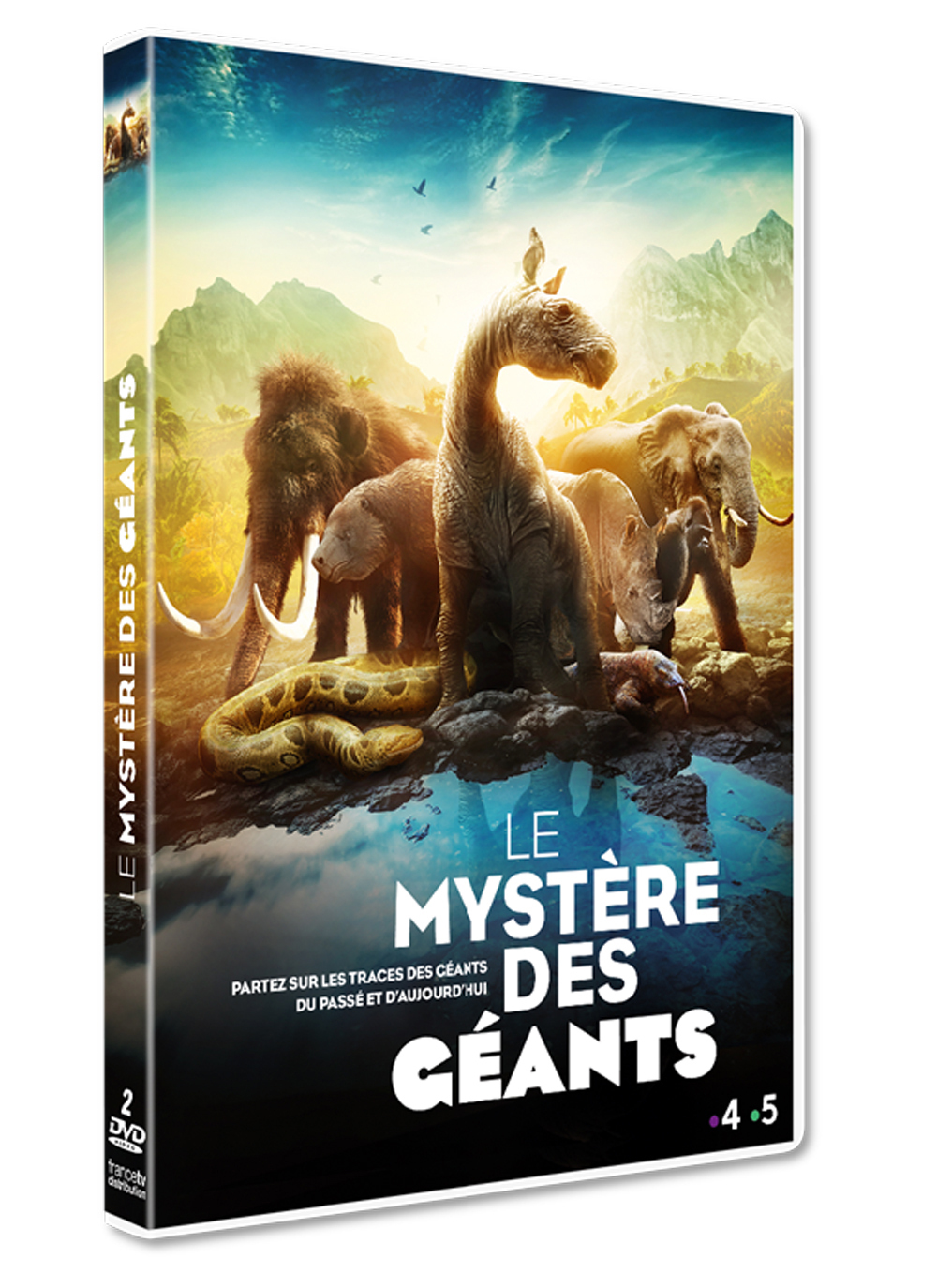 MYSTERE DES GEANTS (LE)