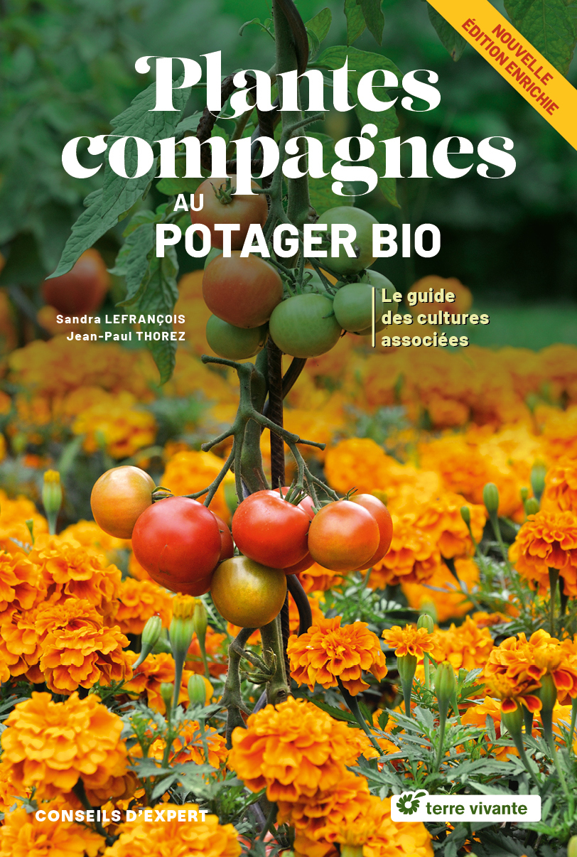 Plantes compagnes au potager bio - Nouvelle édition