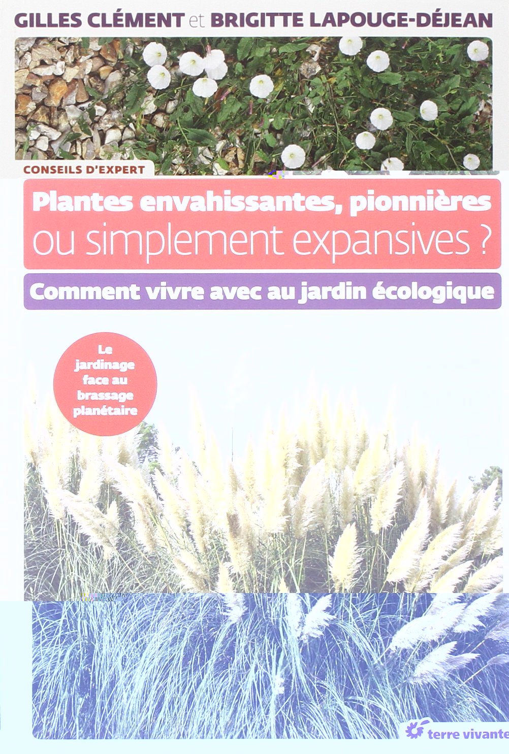 Plantes envahissantes, pionnières ou simplement expansives ?