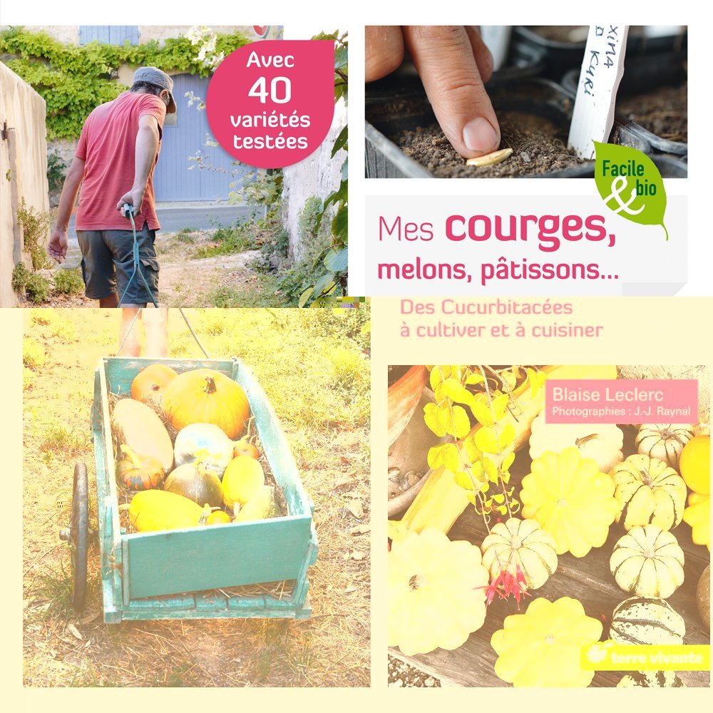 Mes courges, melons, patissons
