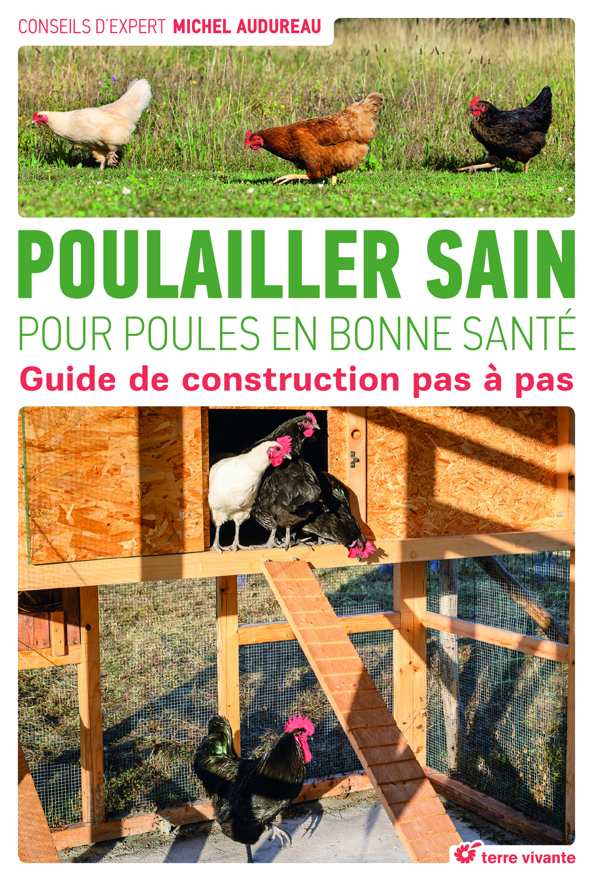 Poulailler sain pour poules en bonne santé