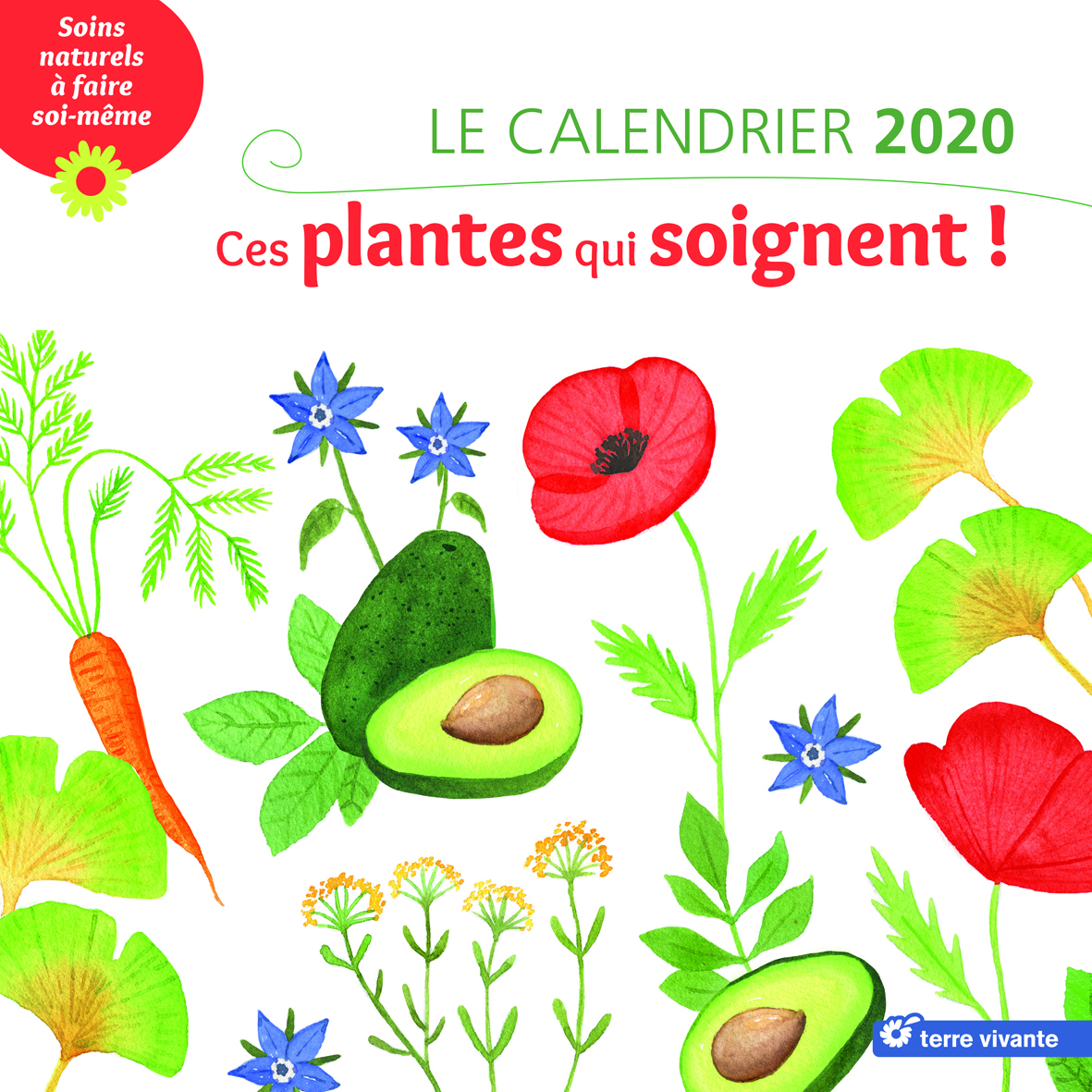 Le calendrier 2020 ces plantes qui soignent !