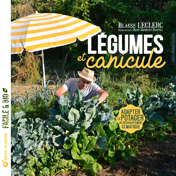Légumes et canicule 