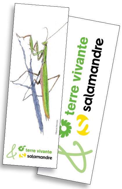 Lot de 12 marque-pages Agenda de la nature au jardin 2024
