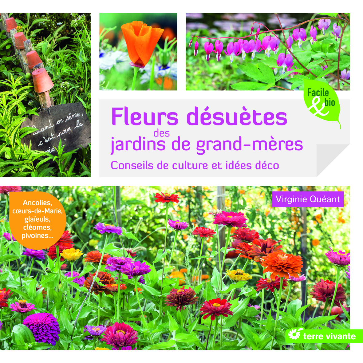 Fleurs désuètes des jardins de grand-mères