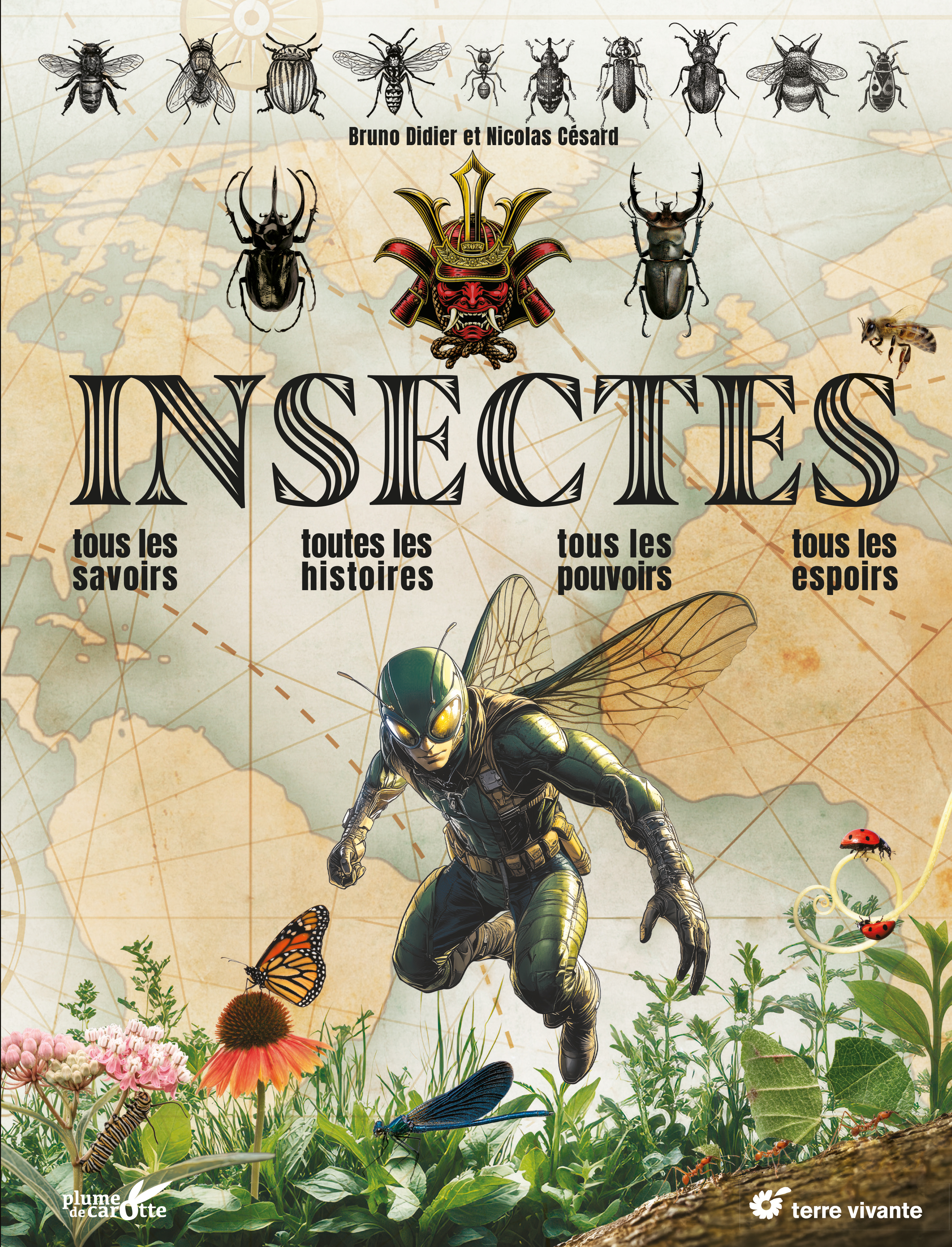 Insectes
