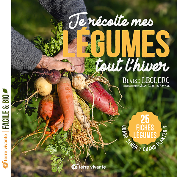 Je récolte mes légumes tout l’hiver