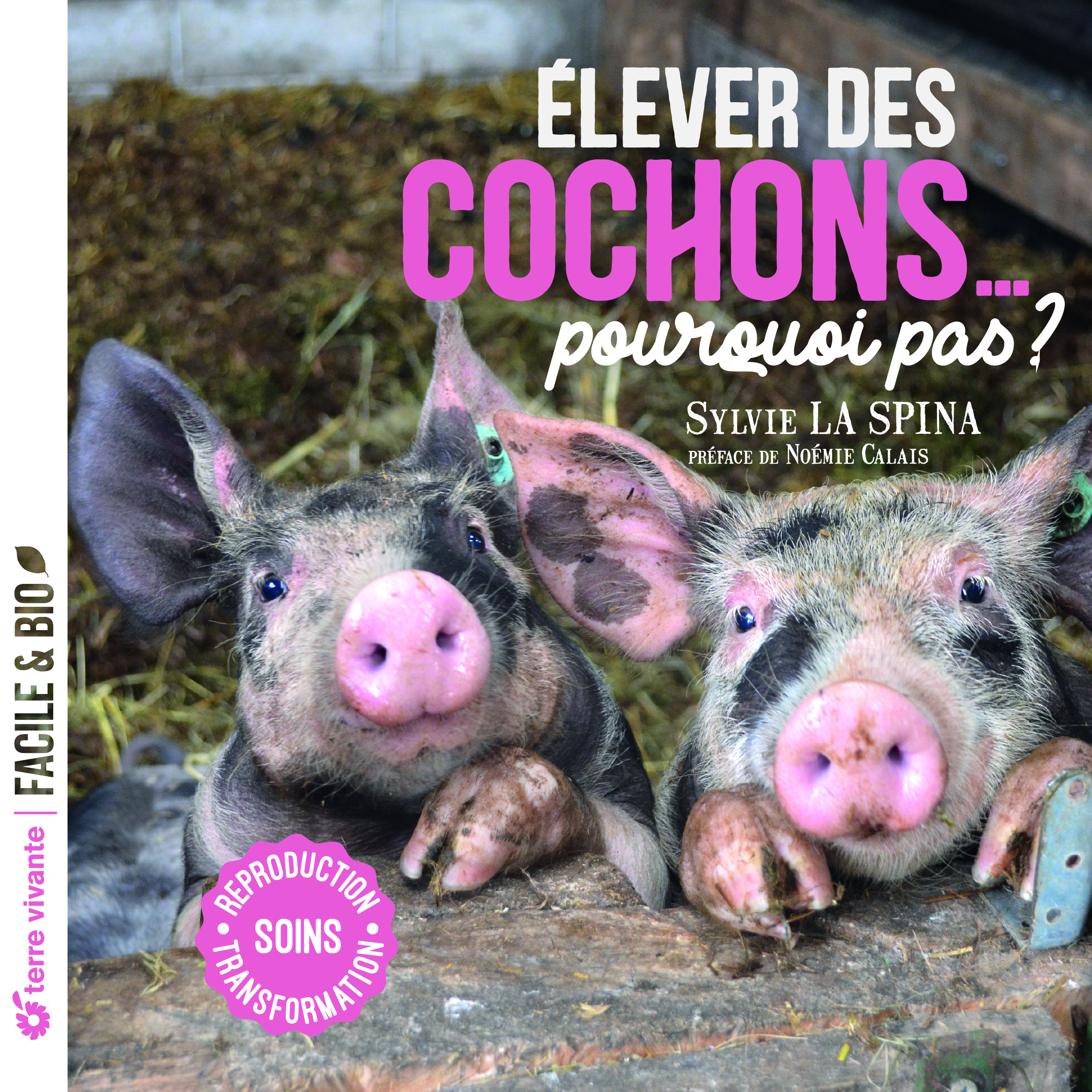 Elever des cochons... pourquoi pas ?