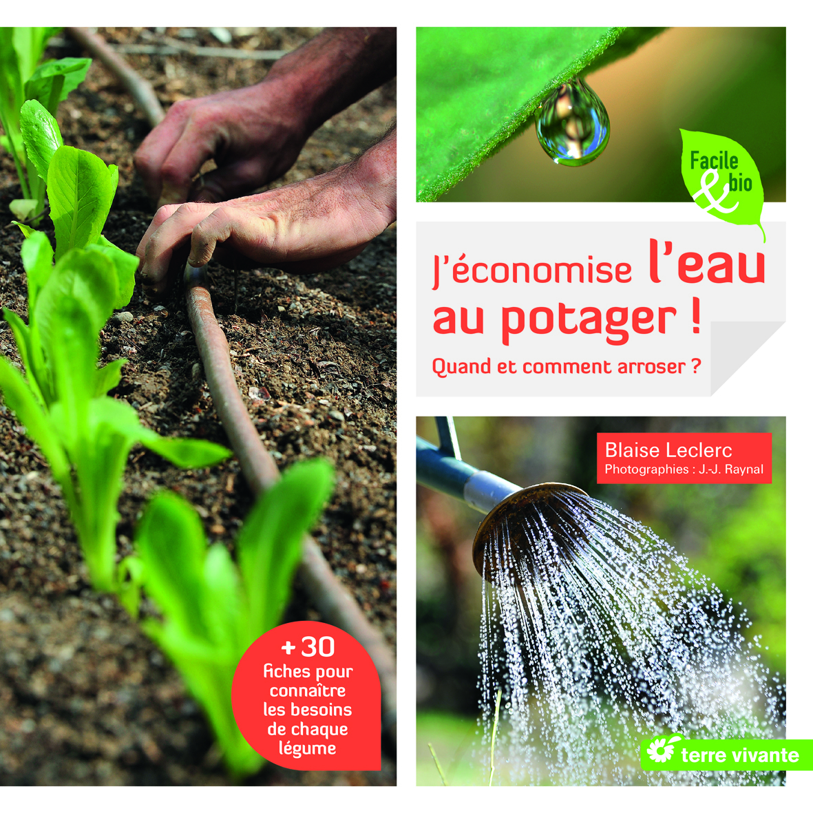 J'économise l'eau au potager