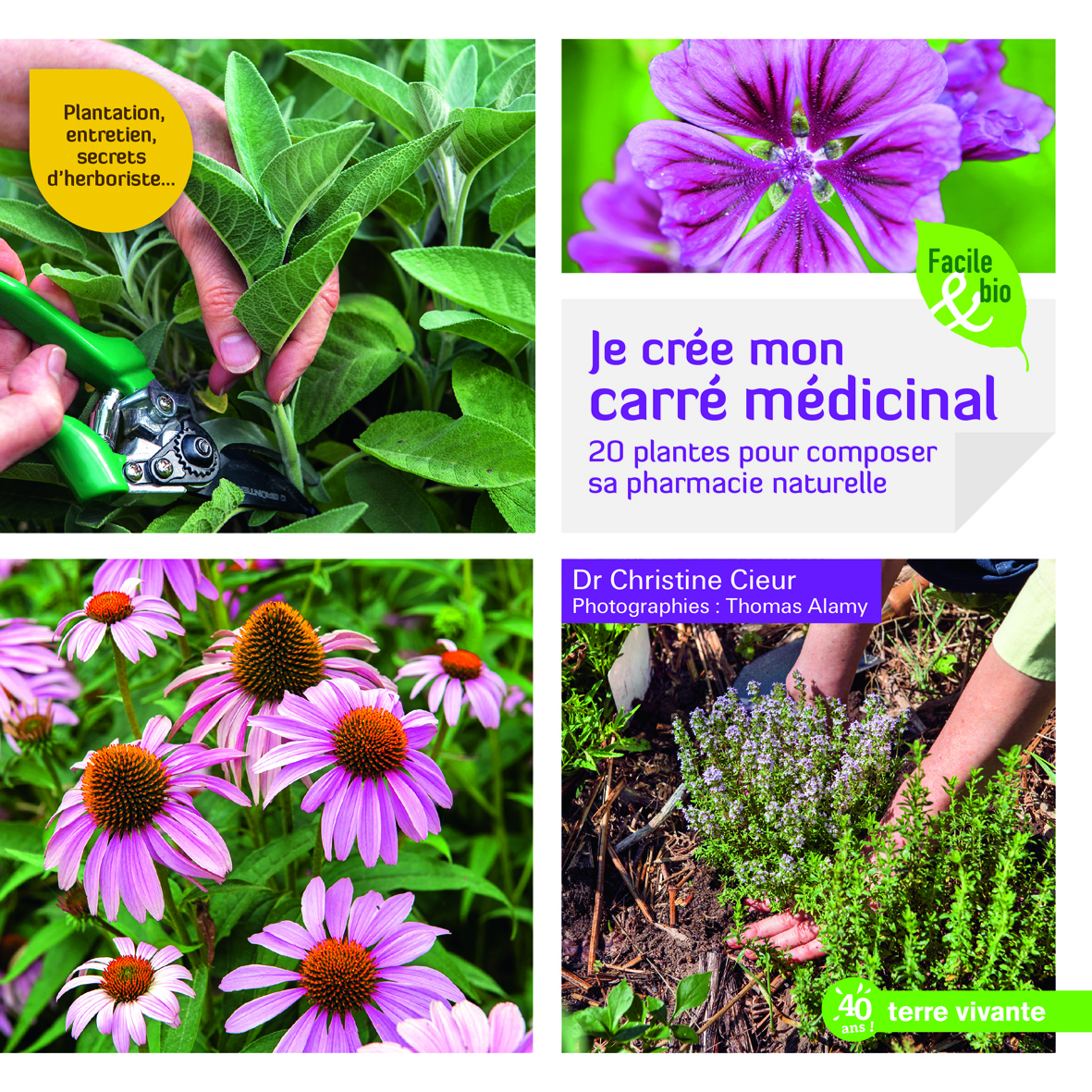 Je crée mon carré medicinal