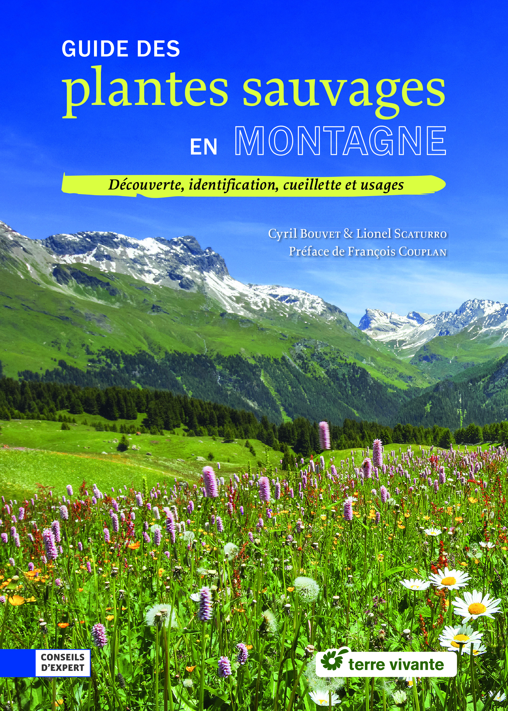 Guide des plantes sauvages en montagne