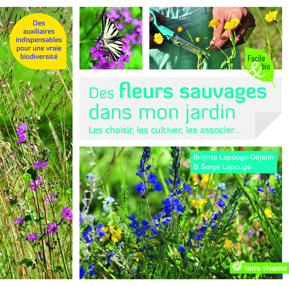 Des fleurs sauvages dans mon jardin