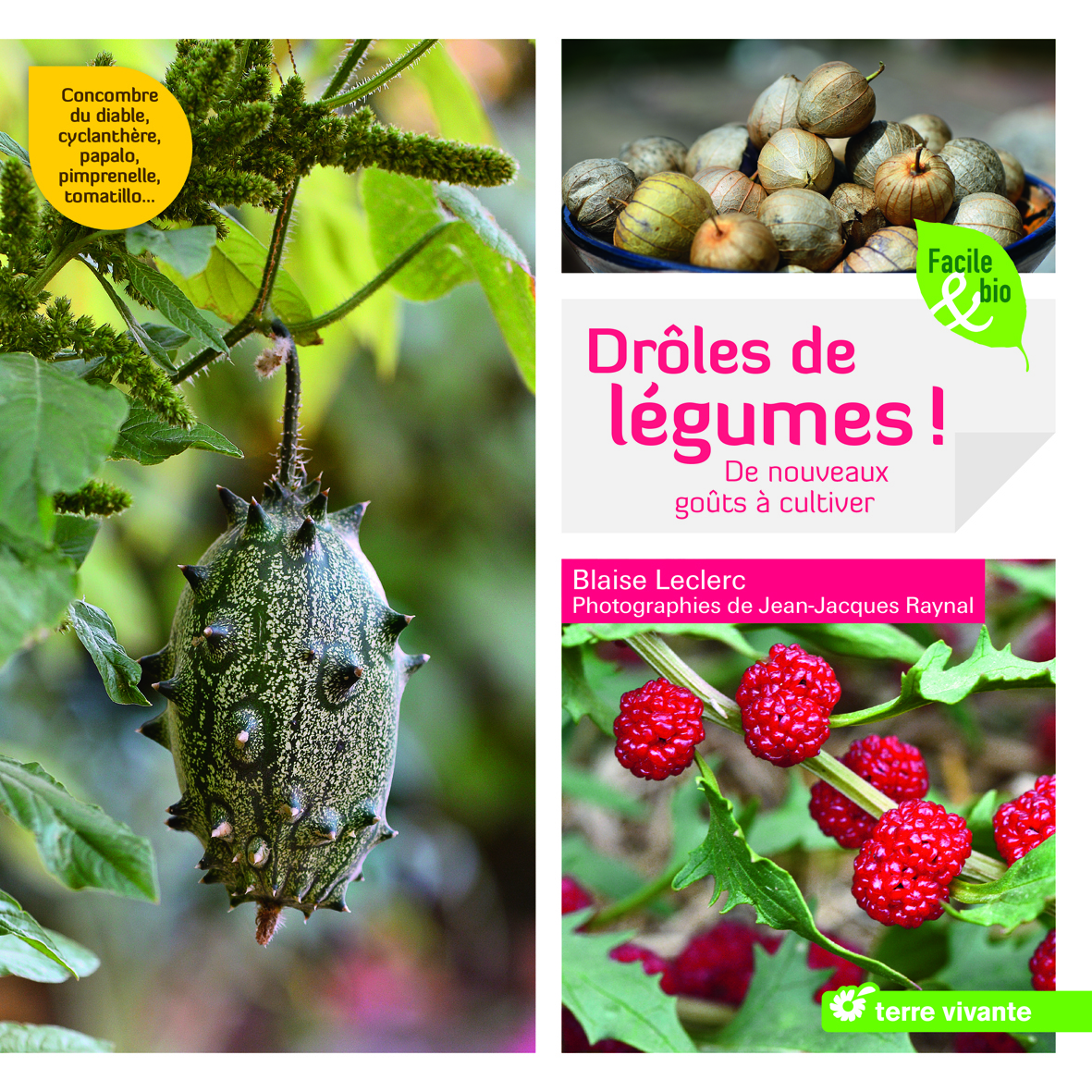 Drôles de légumes !