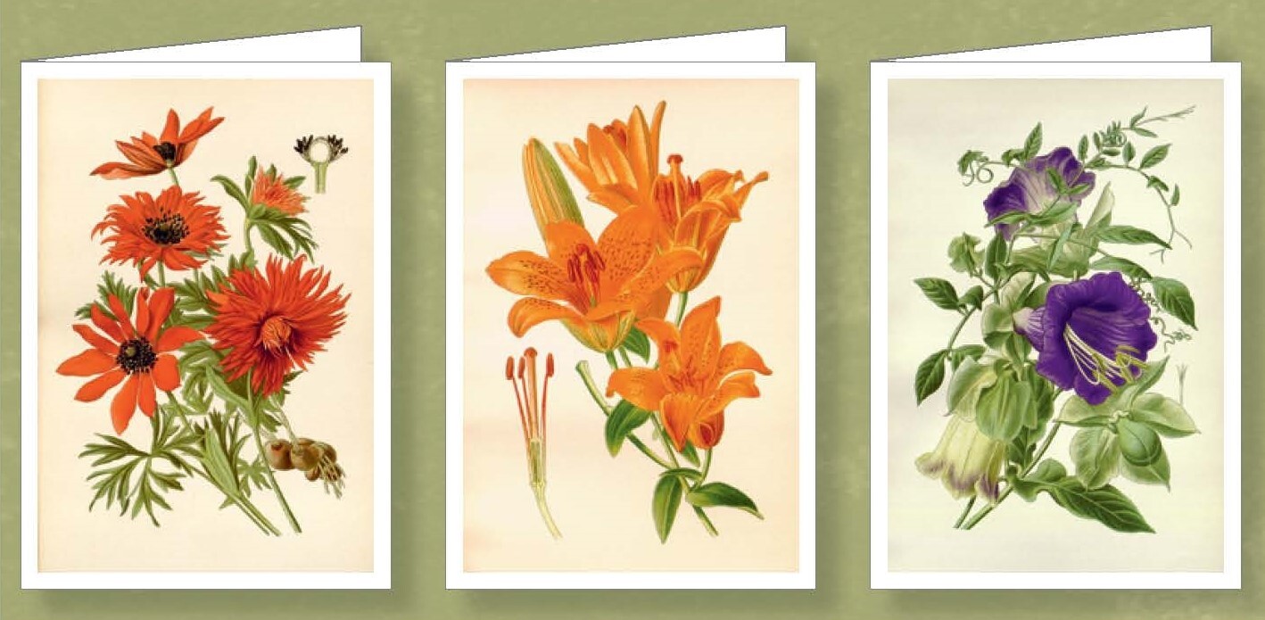 Prime Lot de 3 cartes Fleurs
