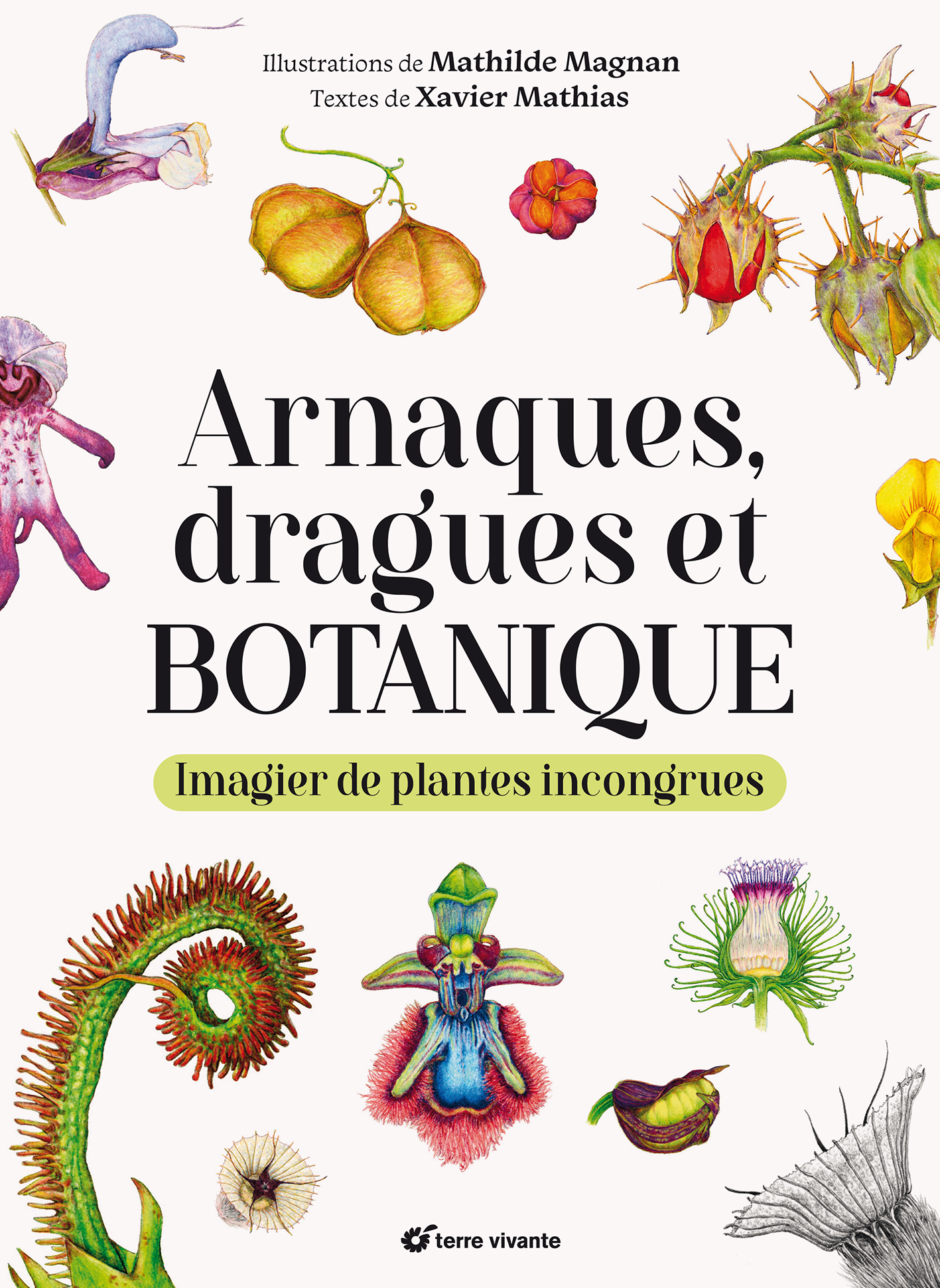 Arnaques, dragues et botanique
