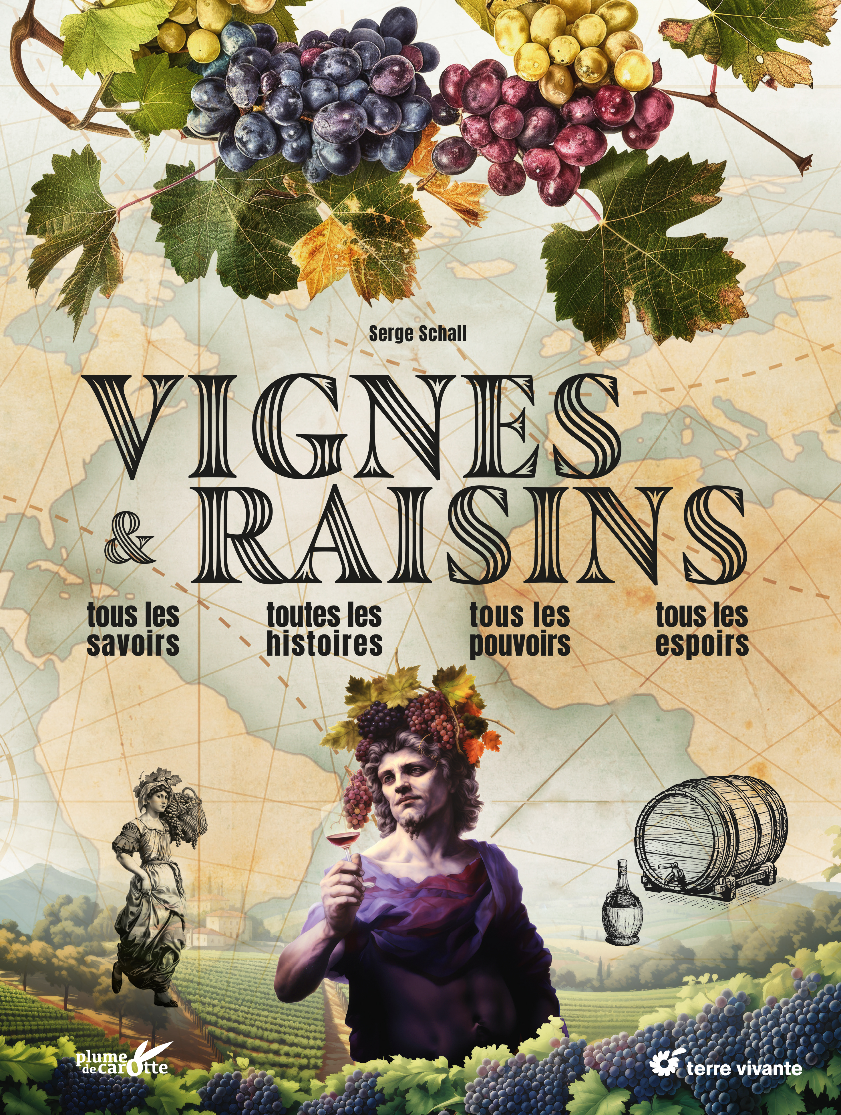 Vignes et raisins