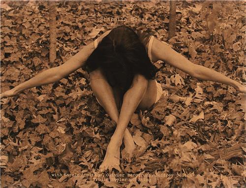 Sharmila Desai: Sristi /anglais