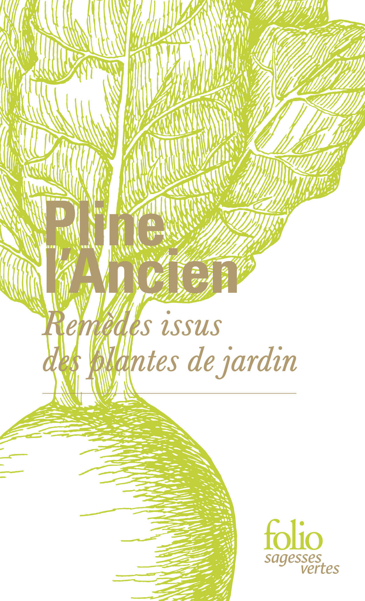 Remèdes issus des plantes de jardin