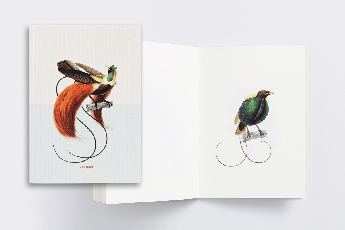 Carnet - Oiseaux de paradis - Notes et Lectures