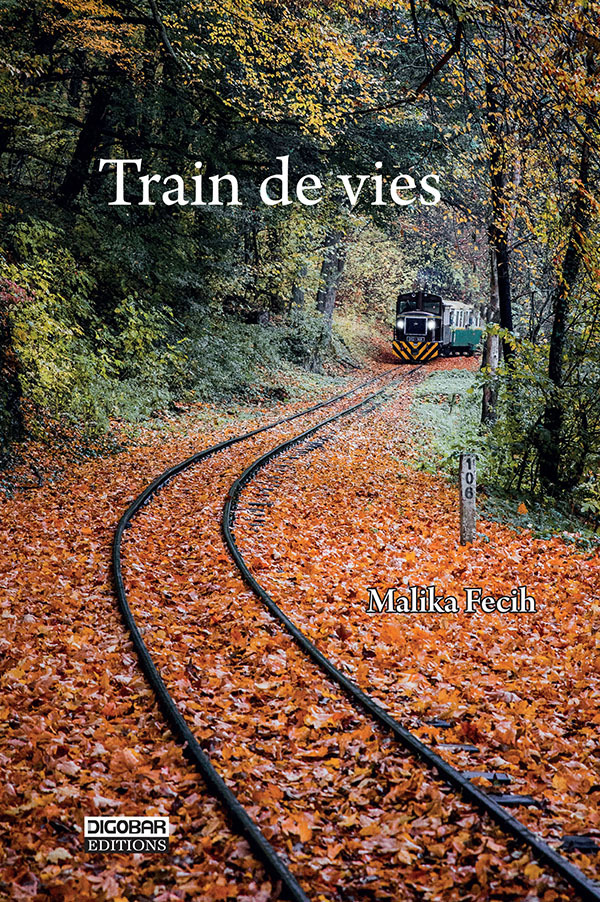 TRAINS DE VIES