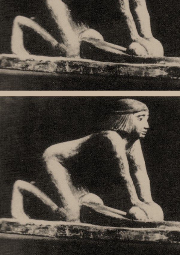 Notre pain quotidien