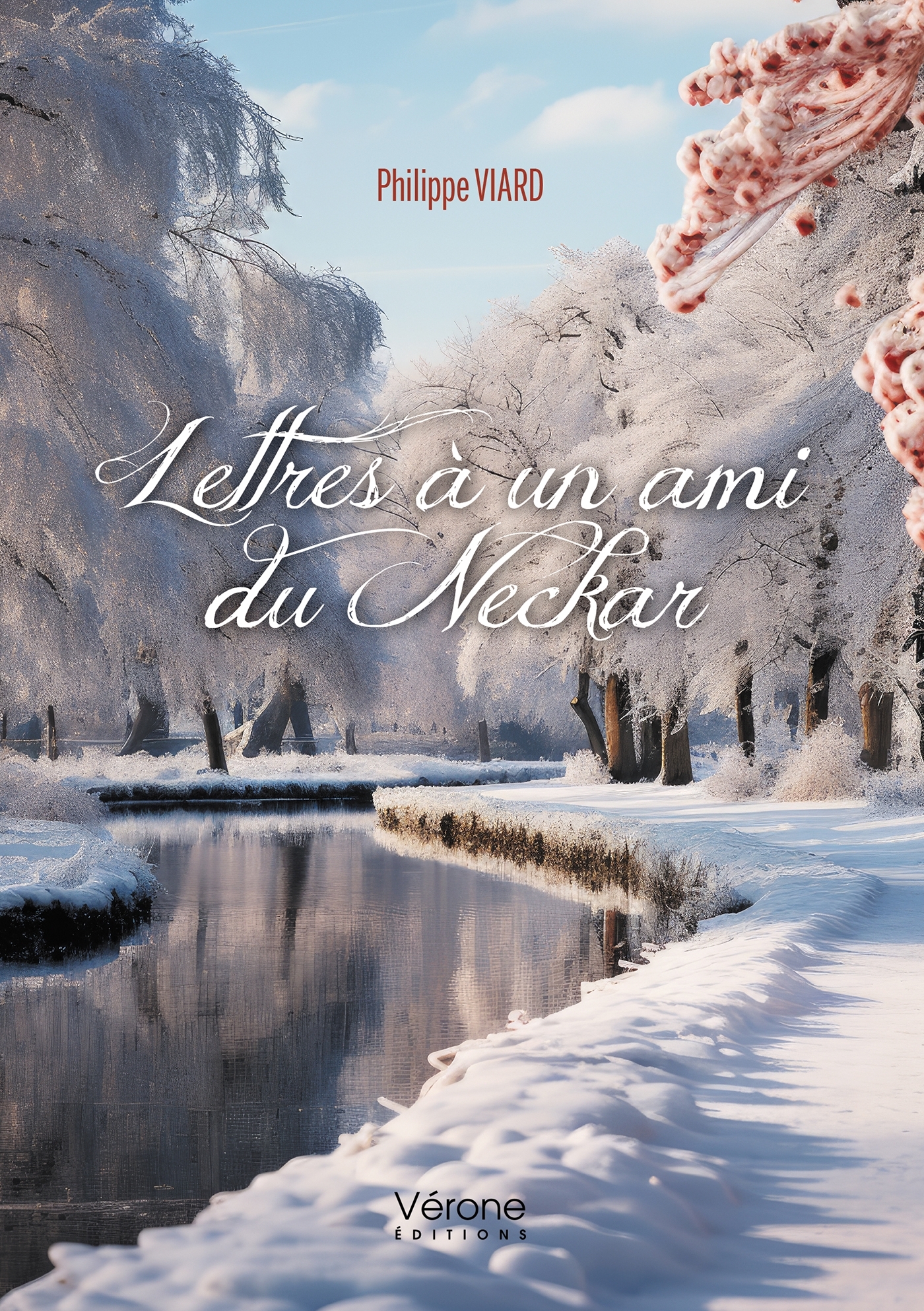 Lettres à un ami du Neckar