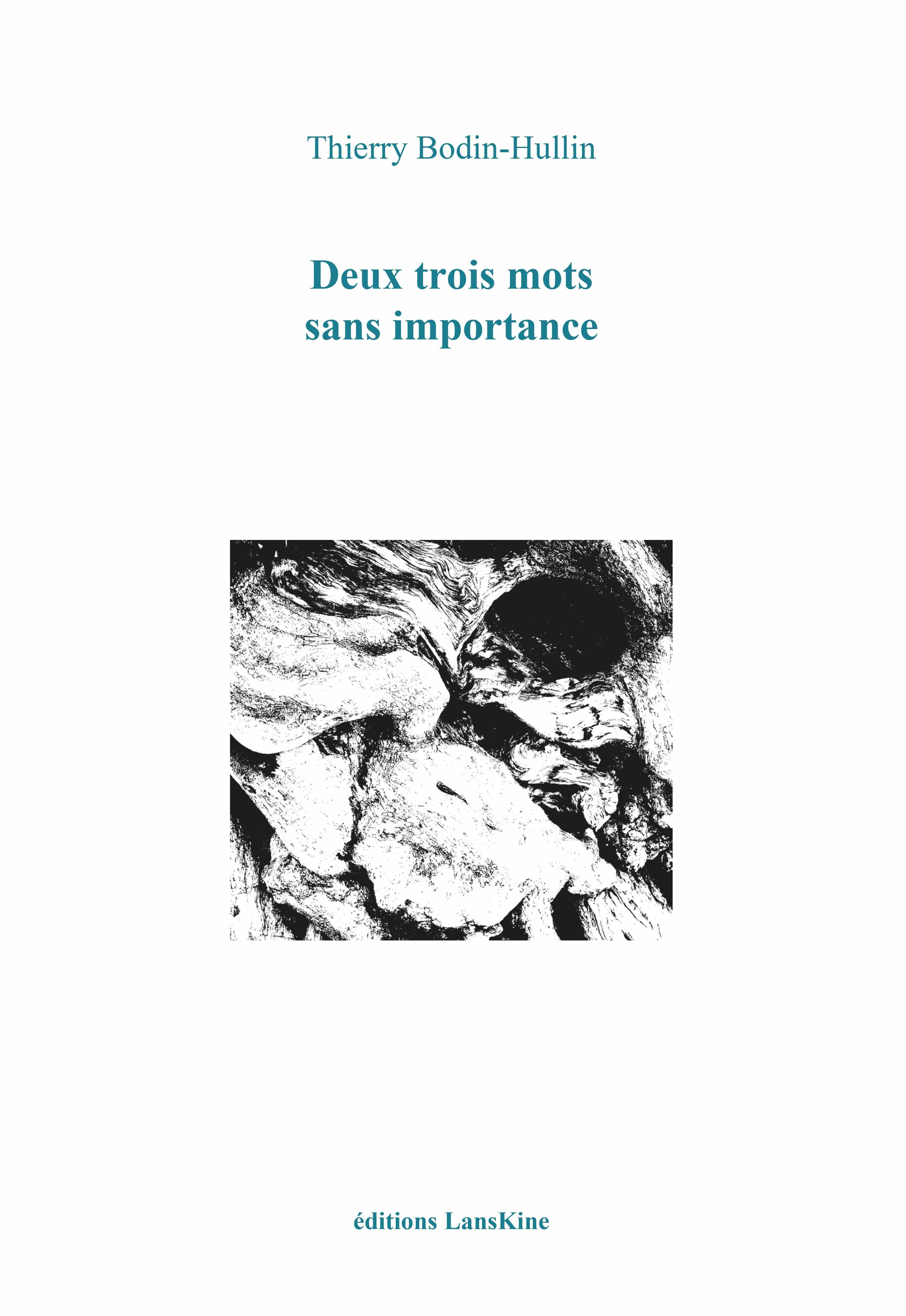 Deux trois mots sans importance