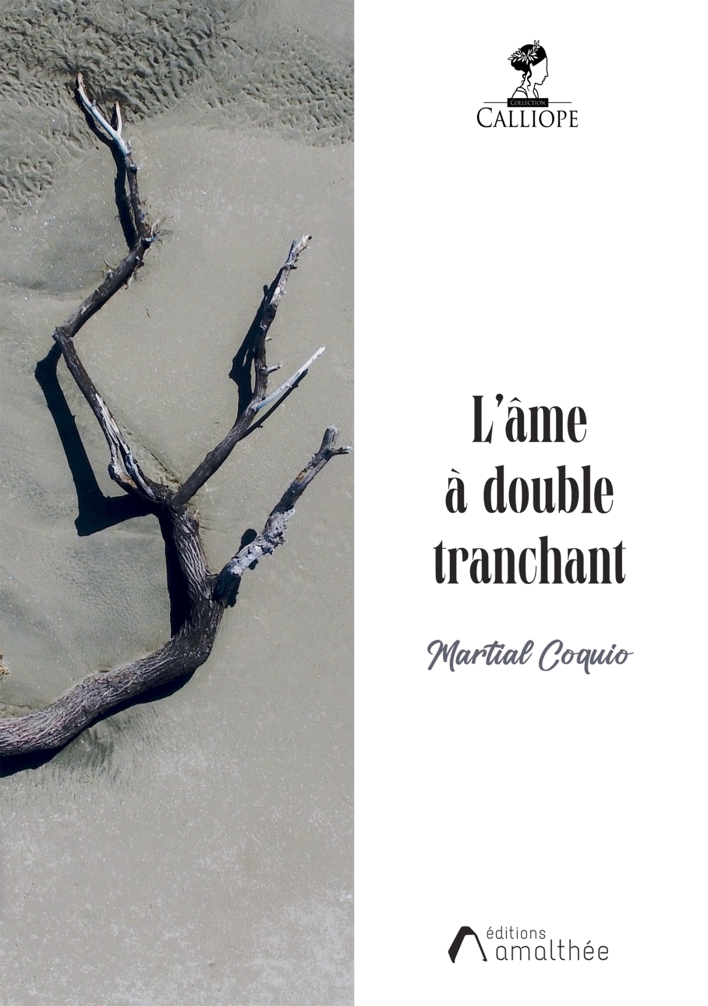 L'âme à double tranchant