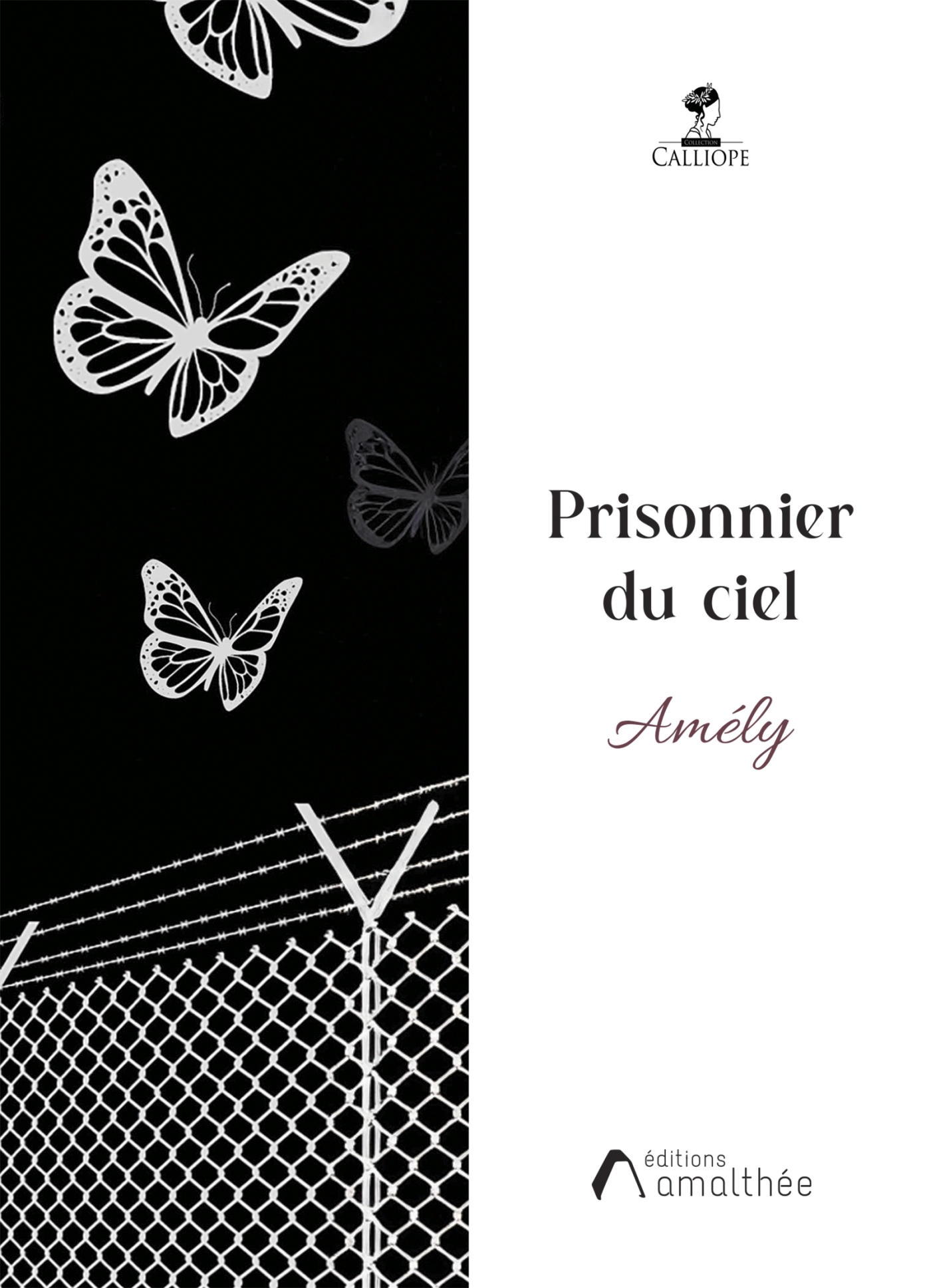 Prisonnier du ciel