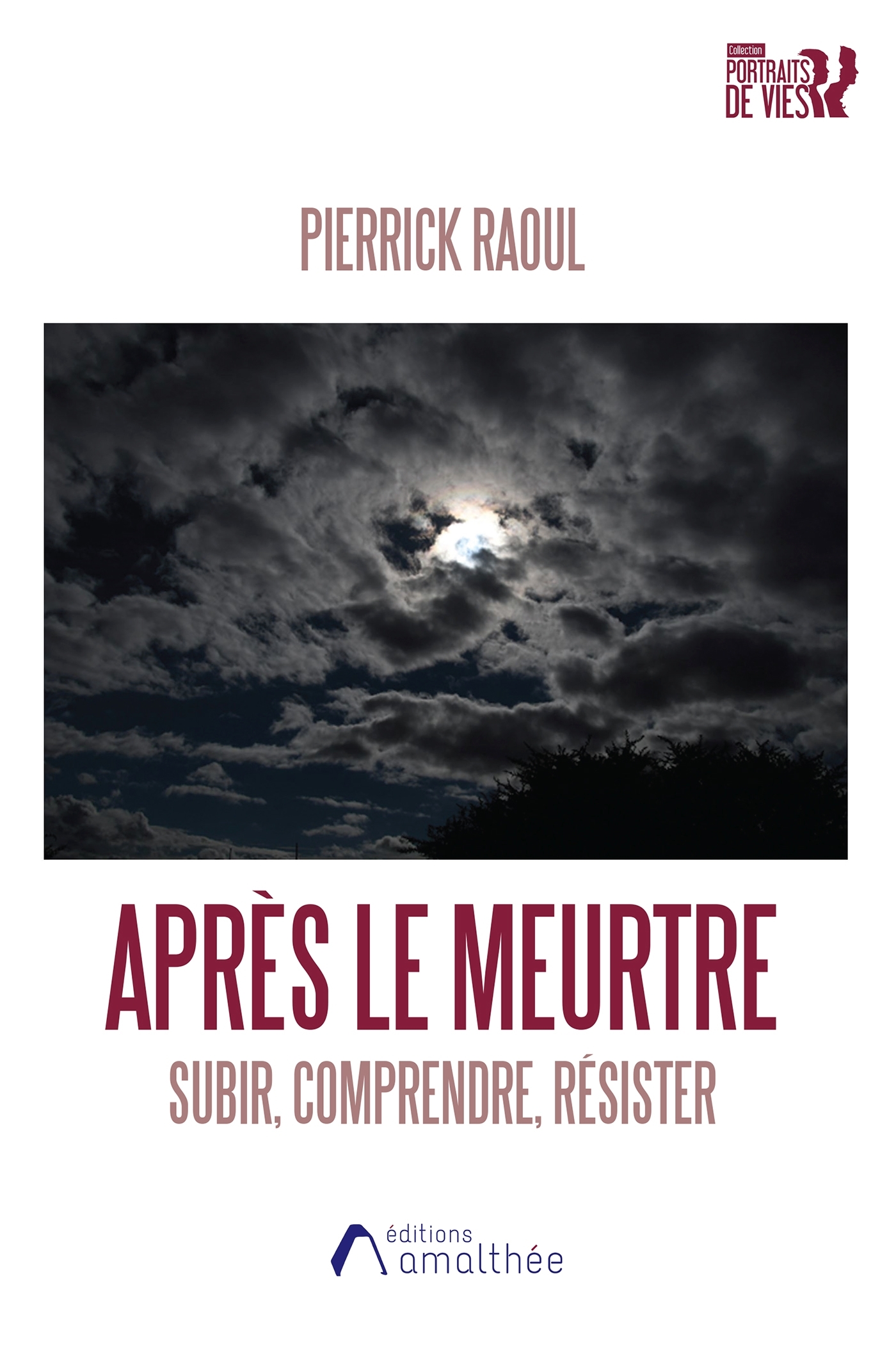 Après le meurtre, subir, comprendre, résister