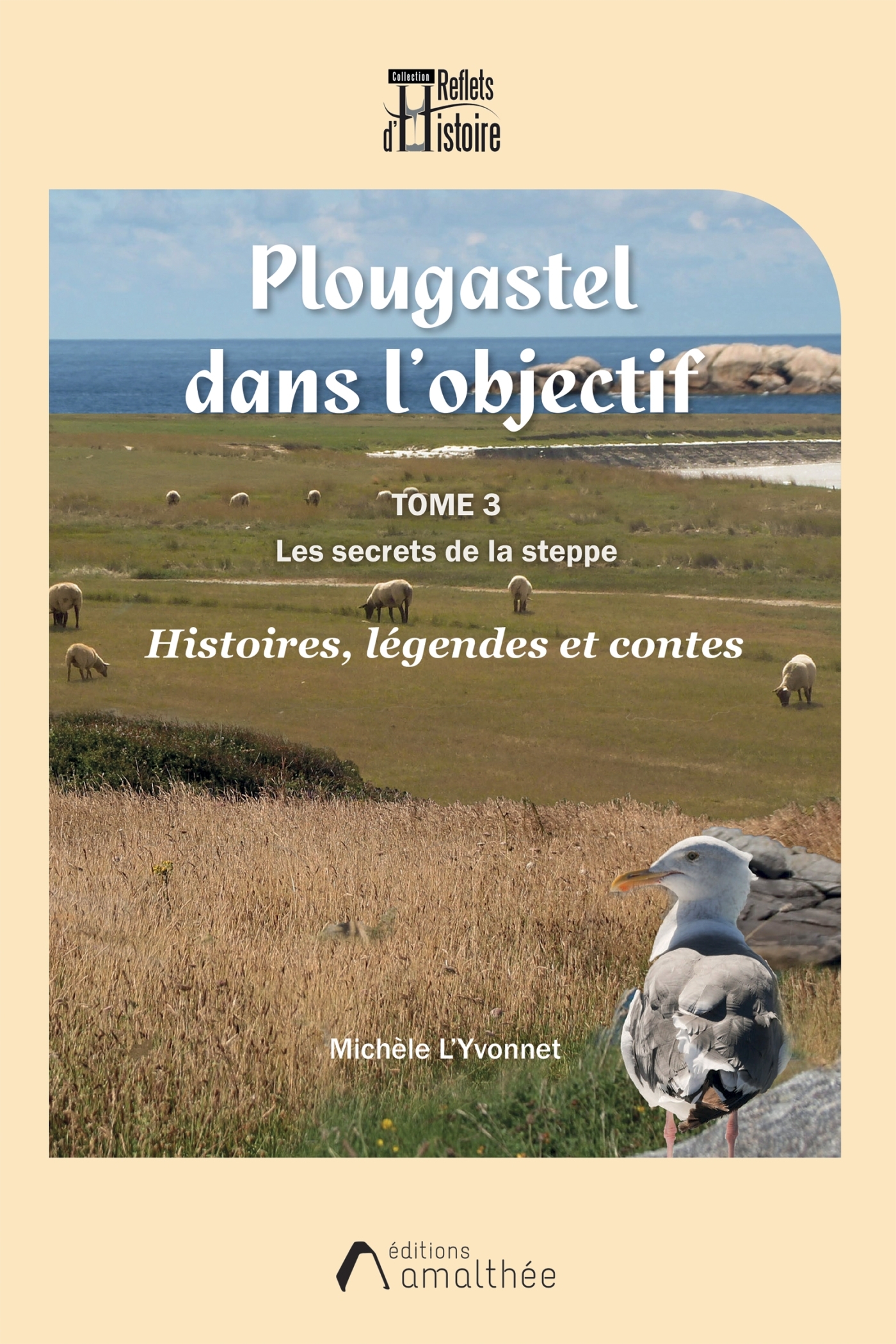 Plougastel dans l'objectif - Tome 3 : Les secrets de la steppe
