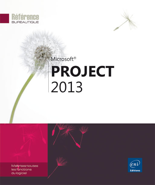 Project 2013