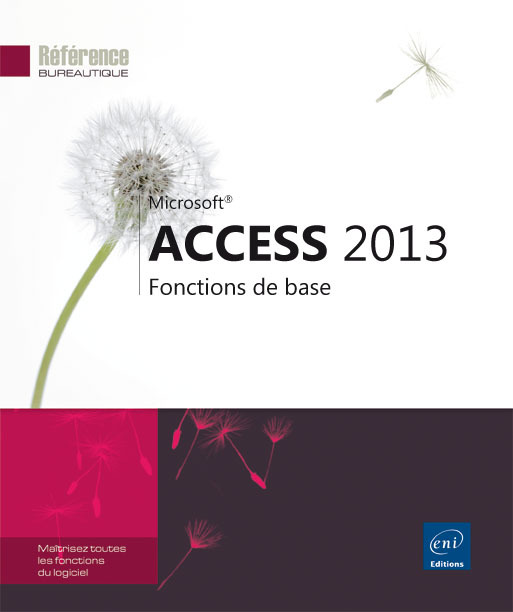 Access 2013 - fonctions de base