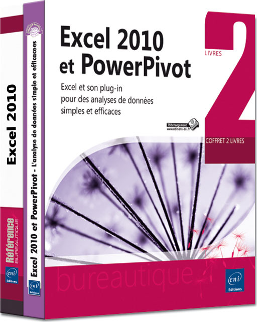 EXCEL 2010 ET POWERPIVOT - COFFRET DE 2 LIVRES : EXCEL ET SON PLUG-IN POUR DES ANALYSES DE DONNEES S
