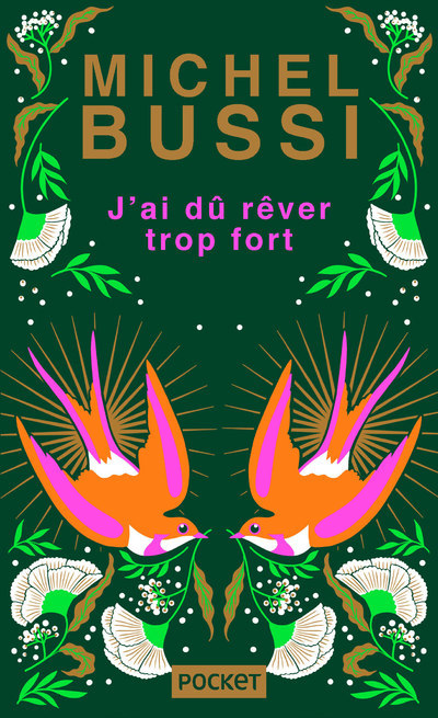 J'ai dû rêver trop fort - Collector