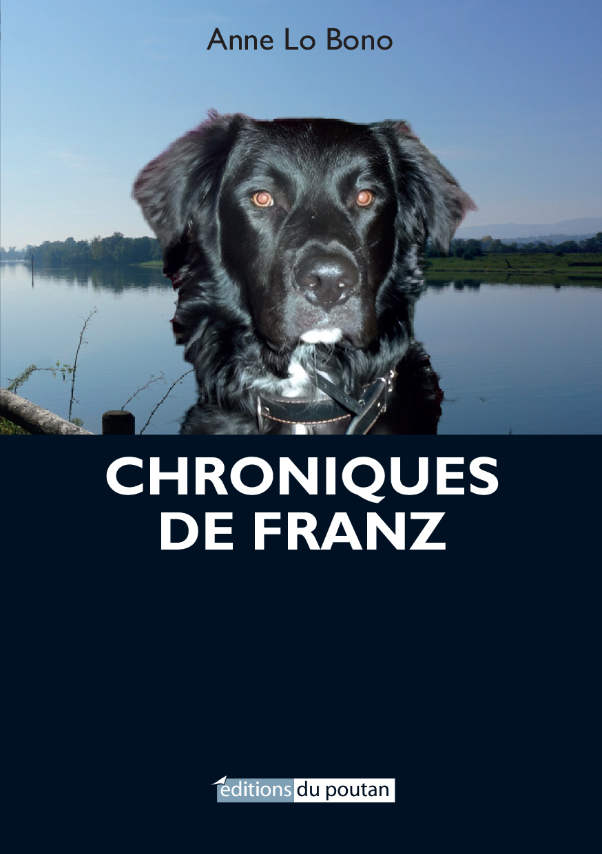 Chroniques de Franz