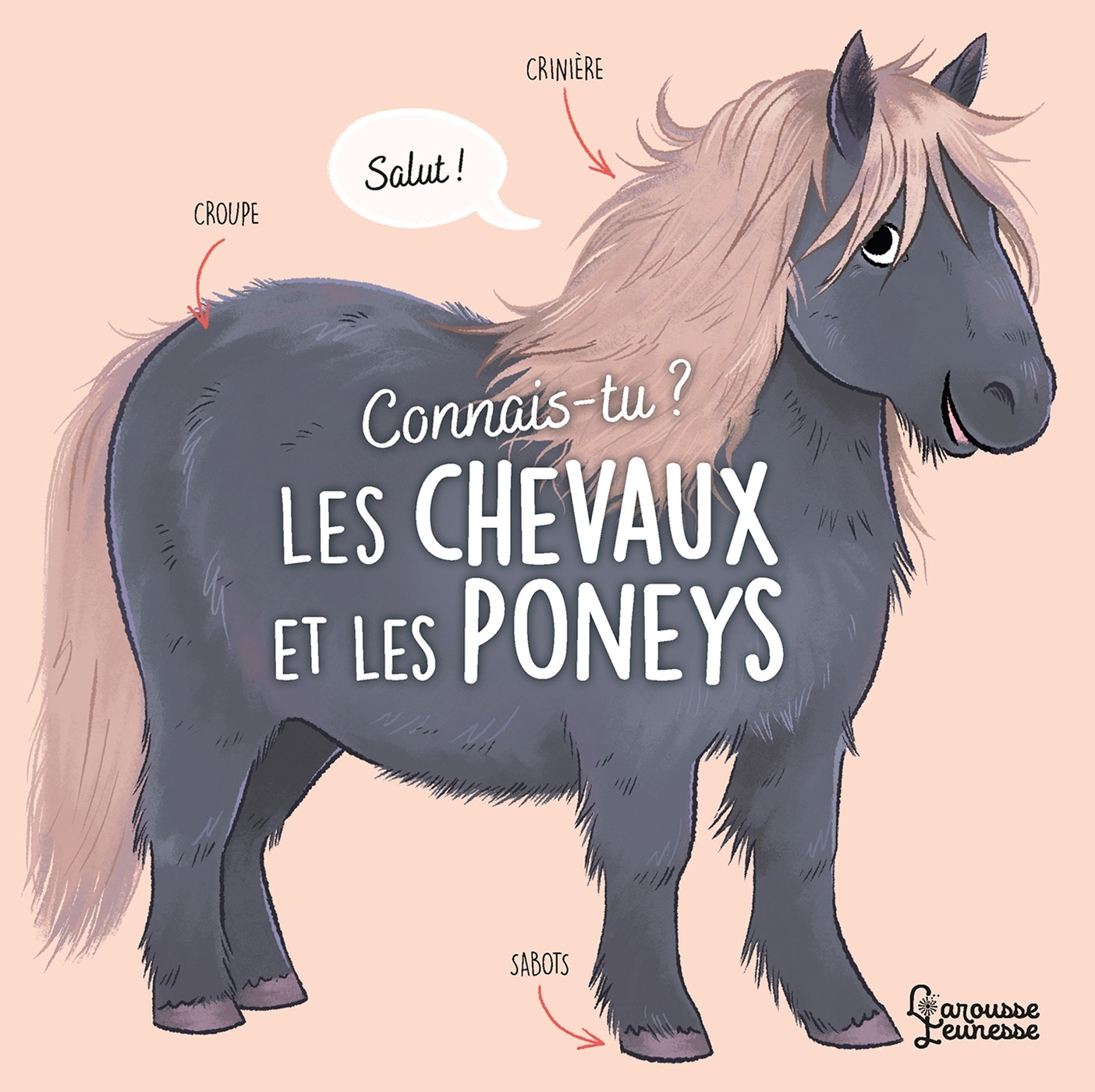 Connais-tu ? Les chevaux et les poneys