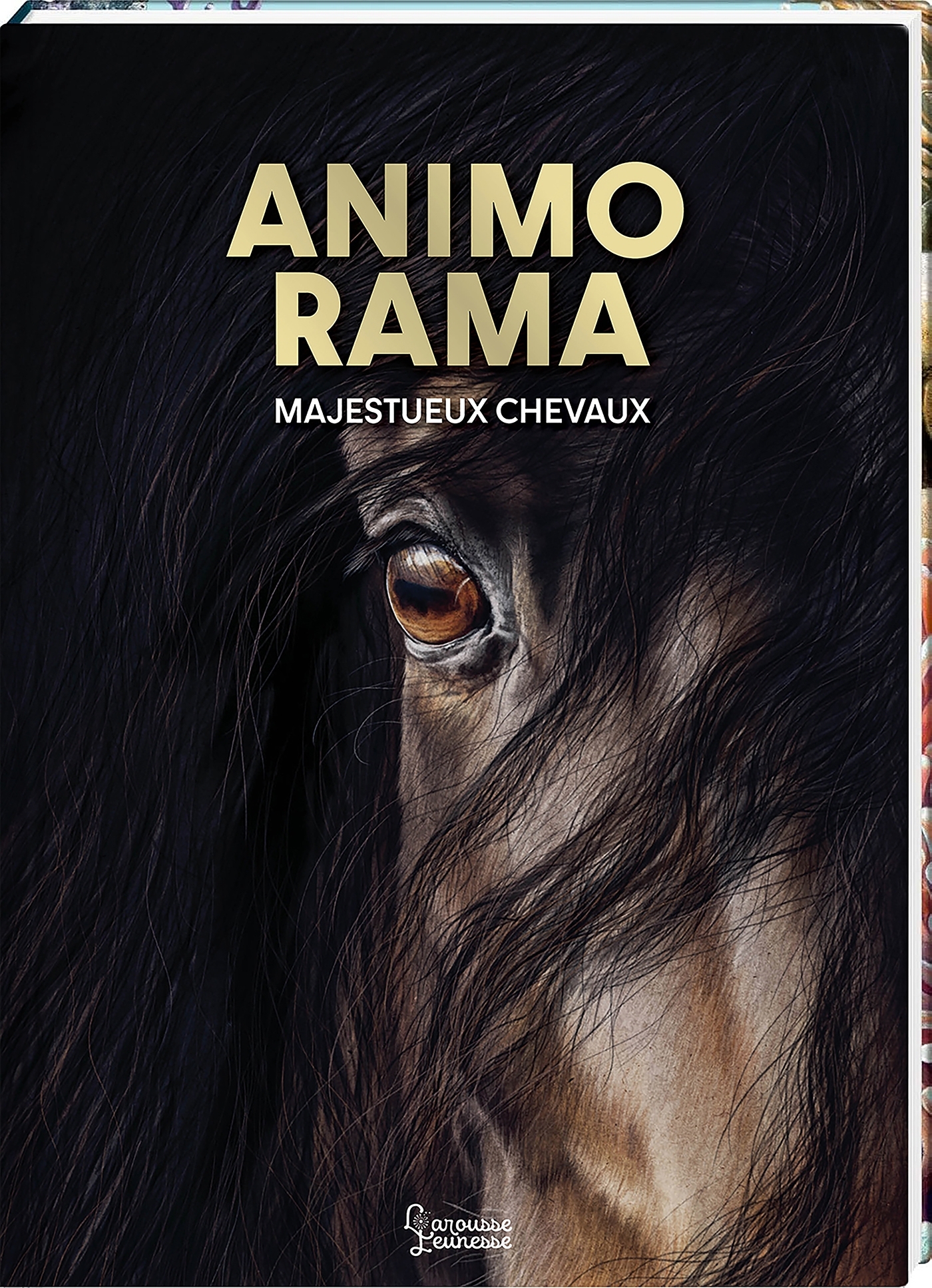 ANIMO RAMA Majestueux chevaux