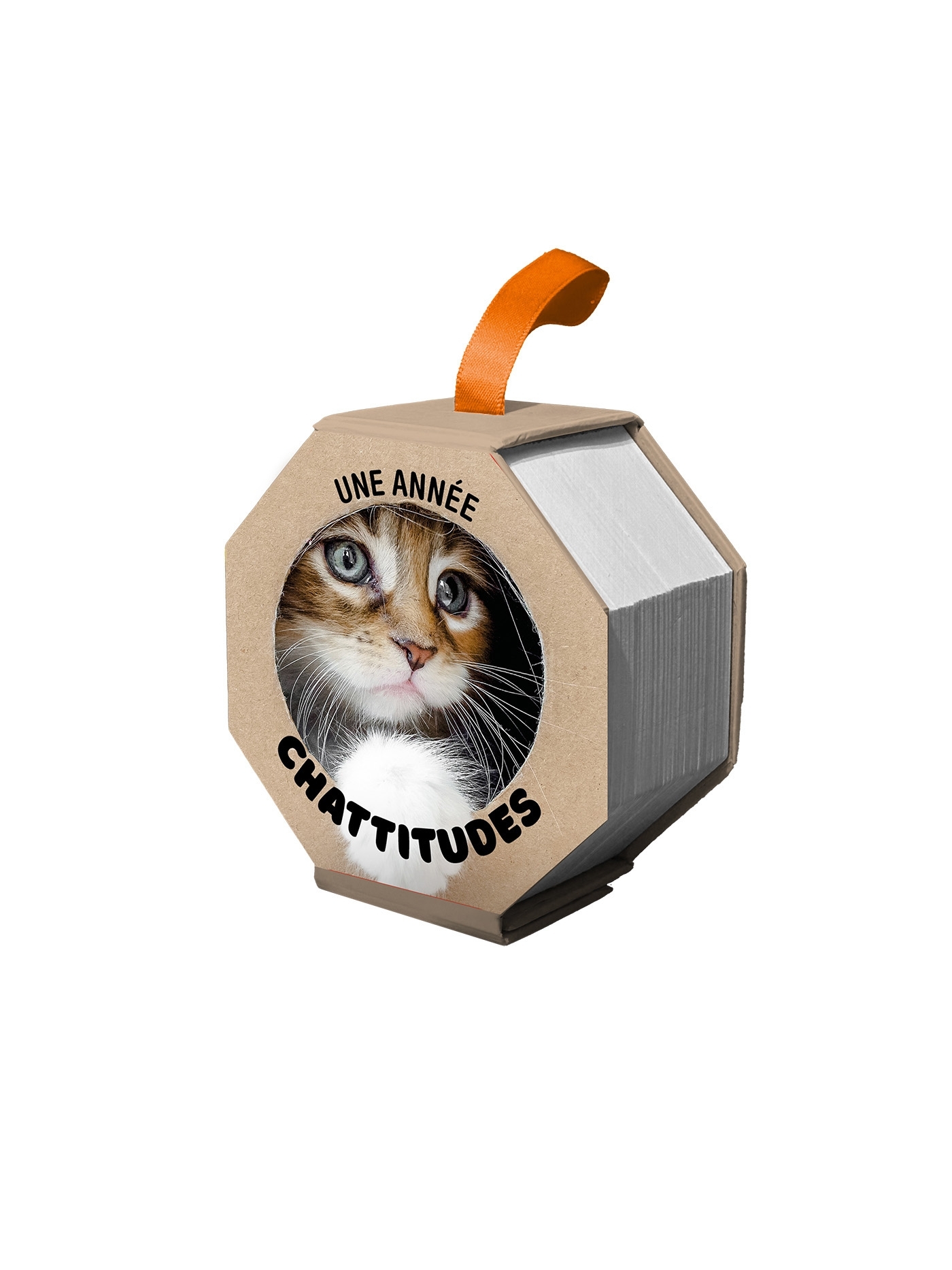 Ephéméride - Une année chattitude