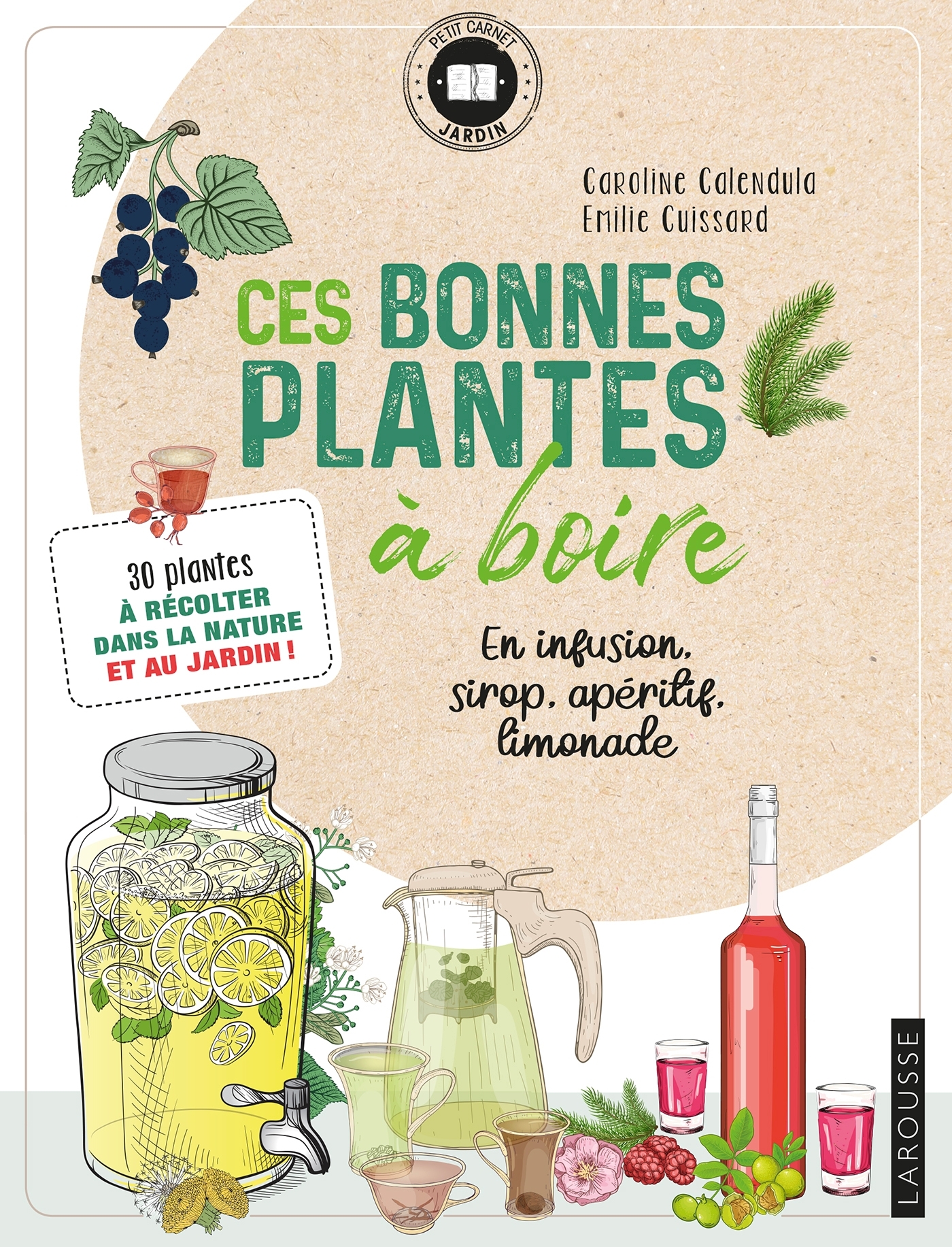 Ces bonnes plantes à boire