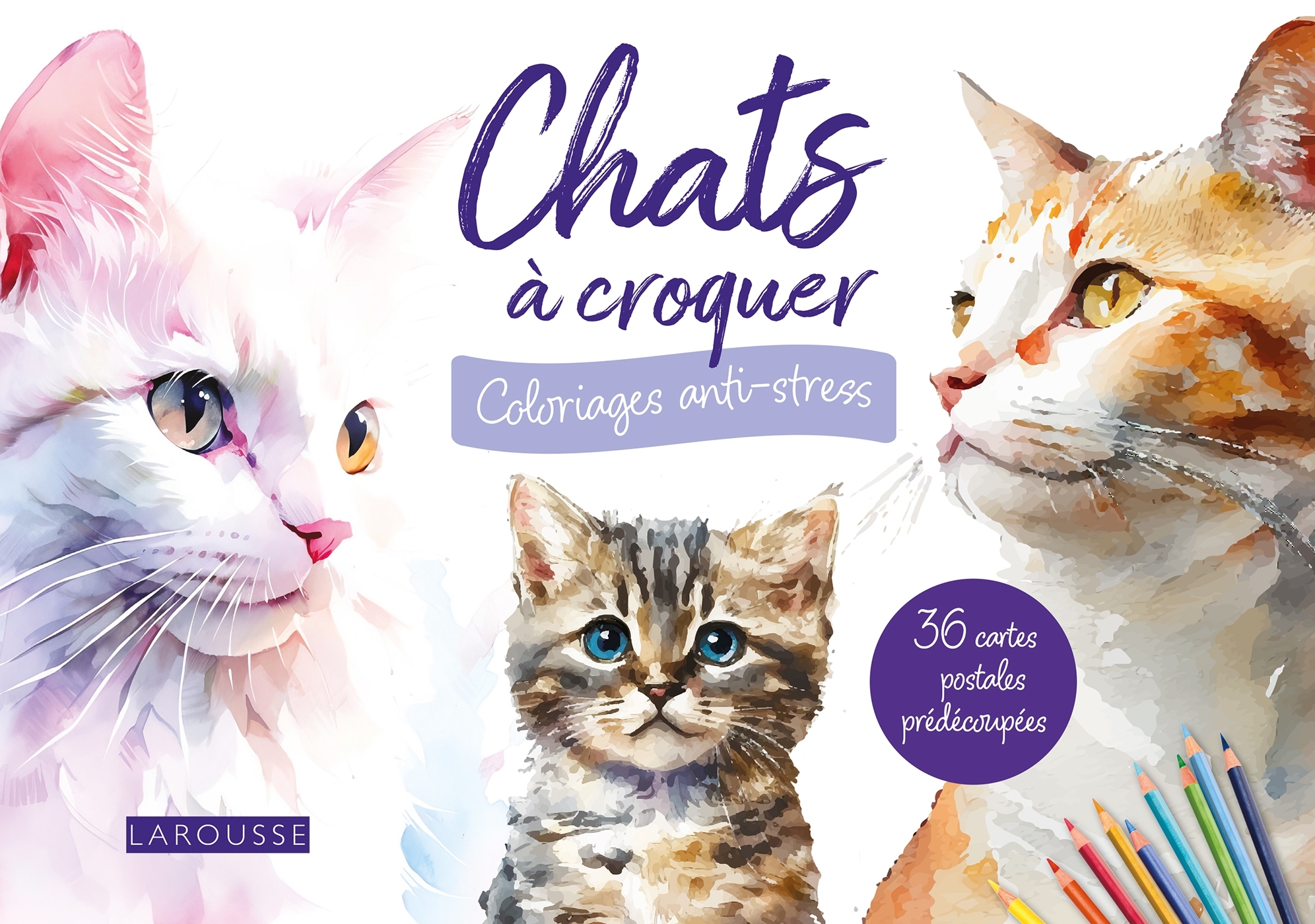 Cartes postales à colorier : Chats à croquer