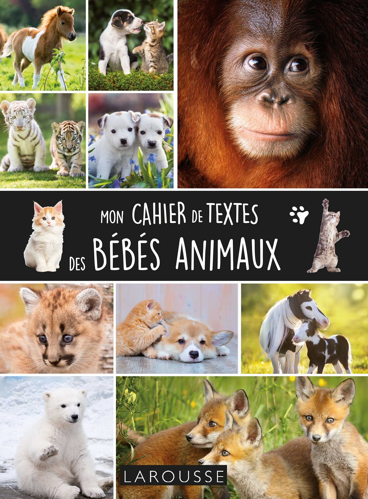 Cahier de textes bébés animaux