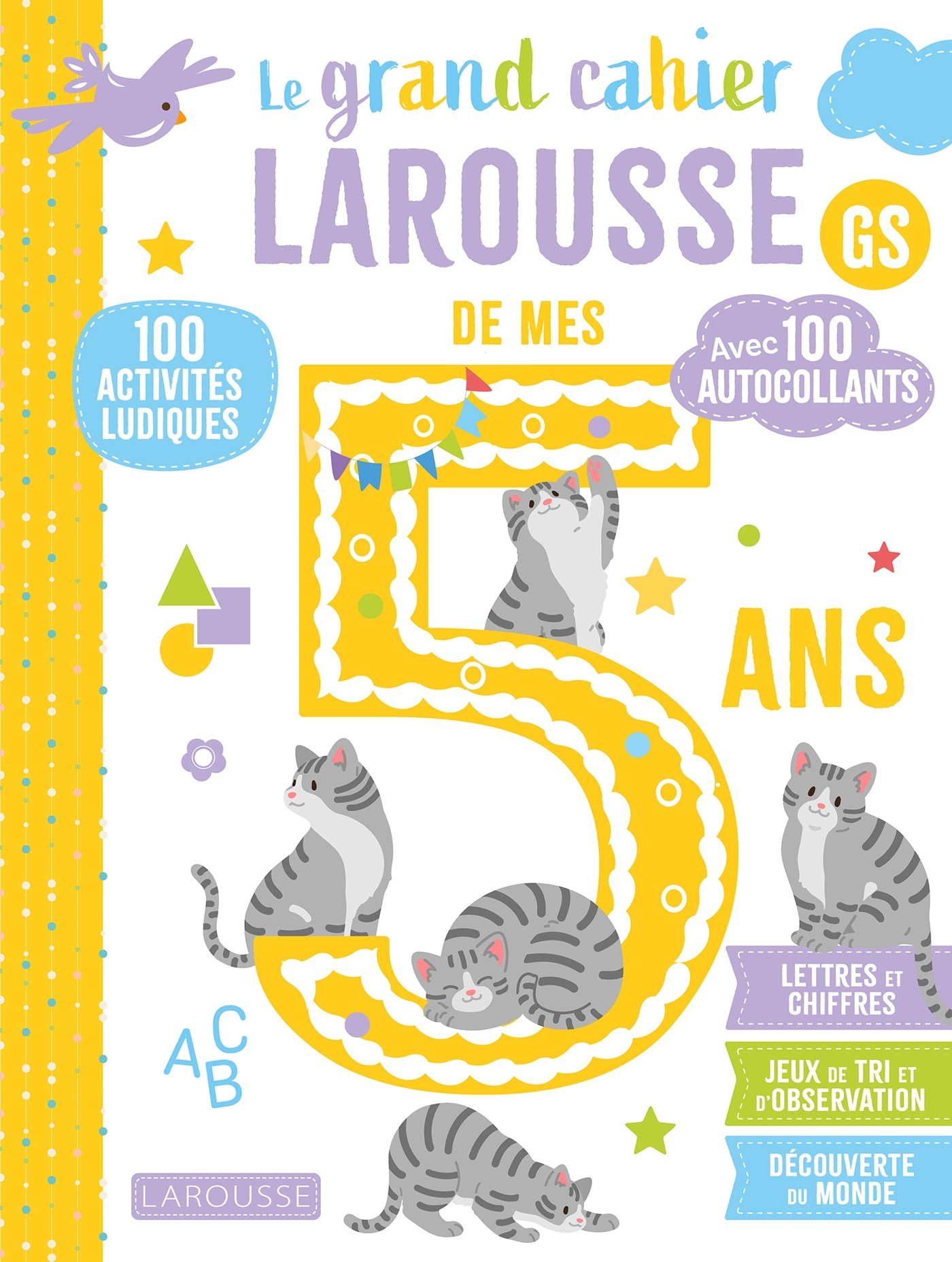 Le grand cahier Larousse de mes 5 ans