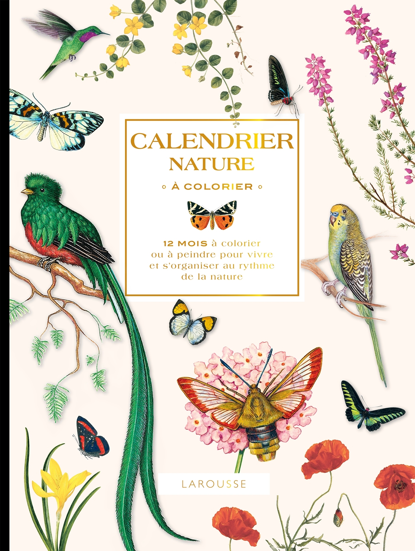 Calendrier nature à colorier