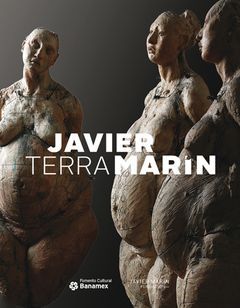 Javier MarIn: Terra /anglais