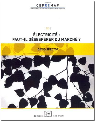 Electricite:Faut-Il Desesperer du Marche ?