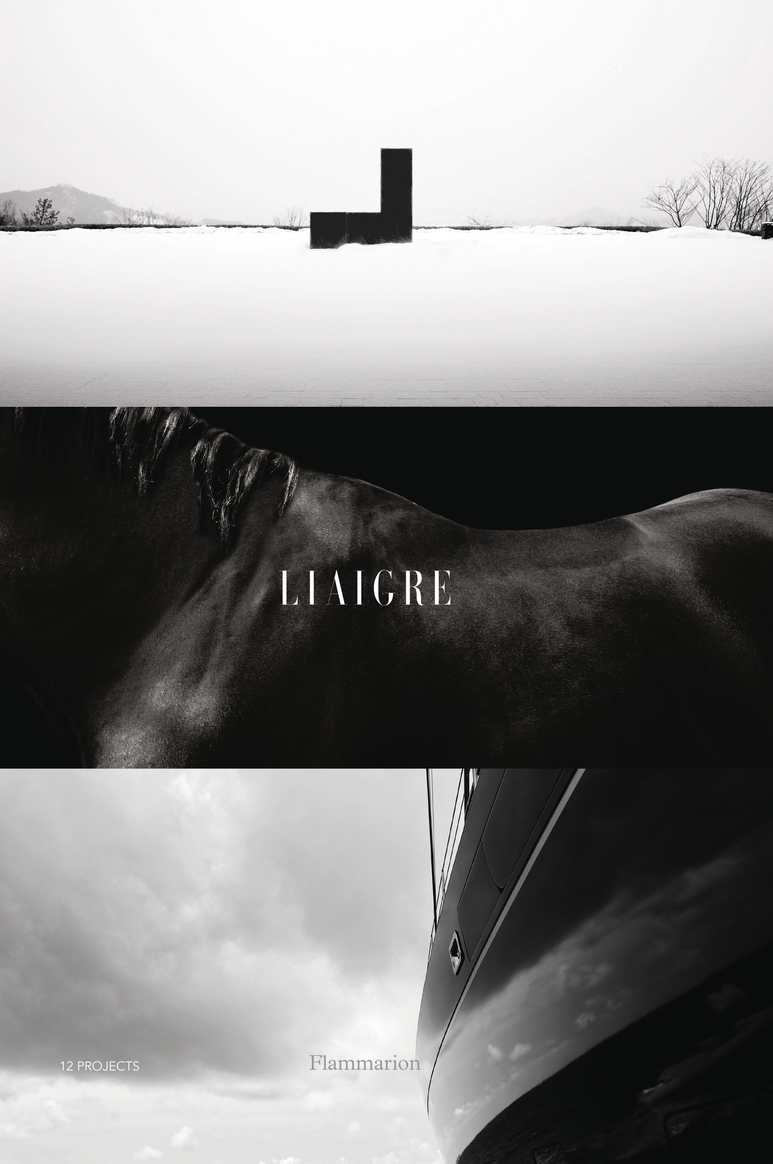 Liaigre : 12 Projects