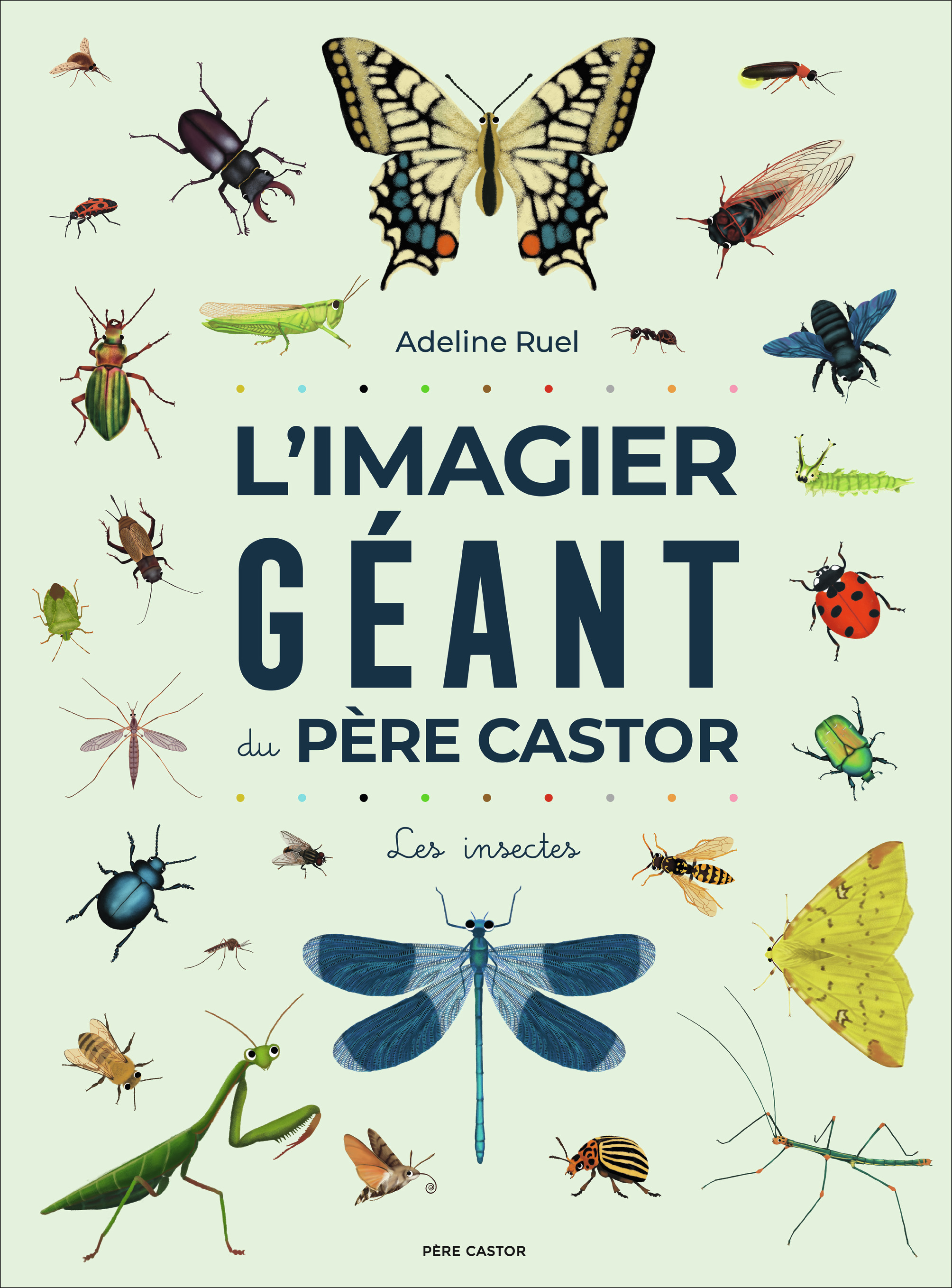 L'Imagier géant du Père Castor - Les insectes