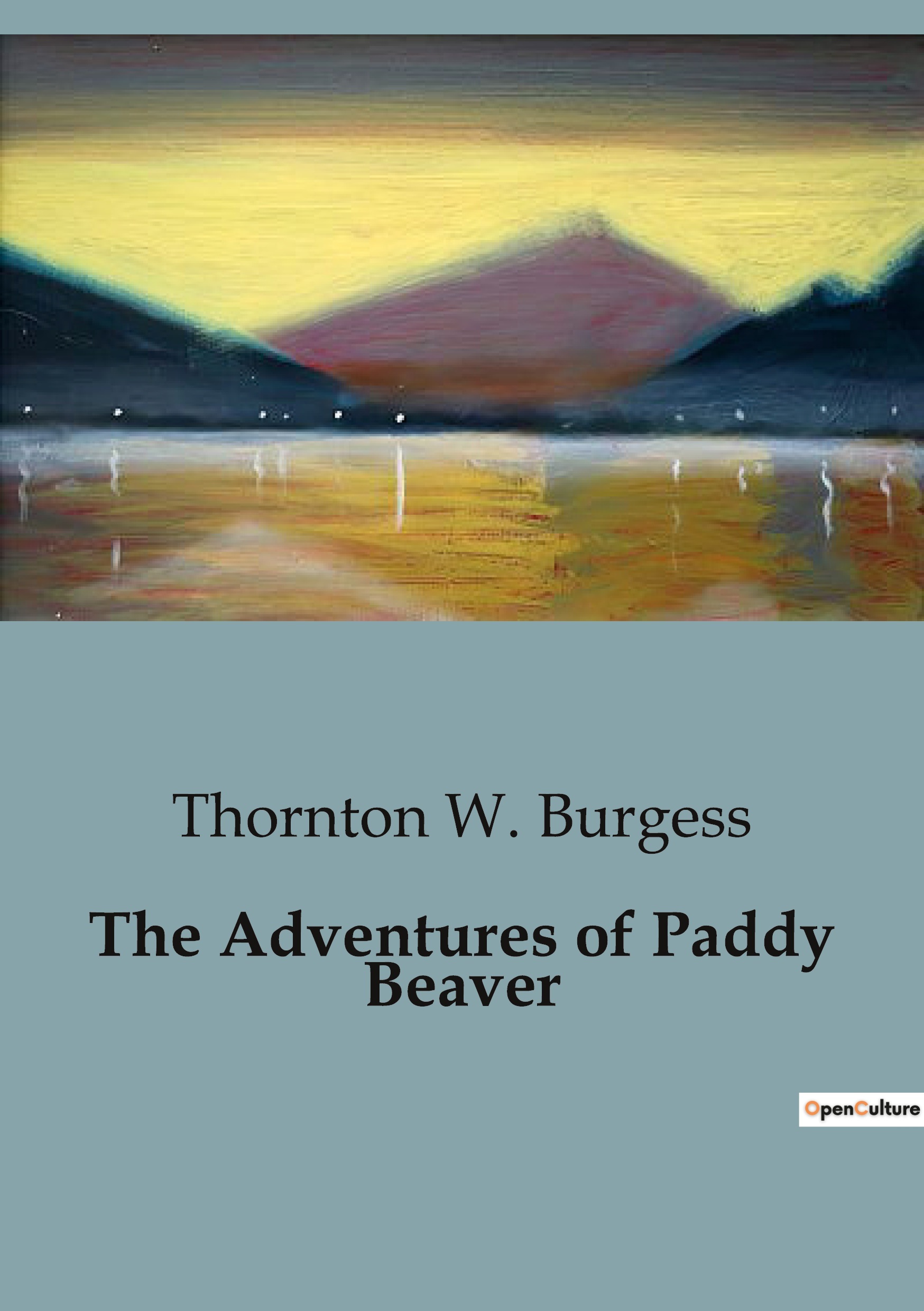 The Adventures of Paddy Beaver